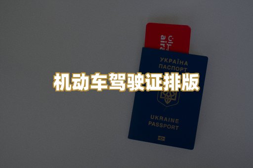 机动车驾驶证排版