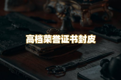机动车驾驶证排版
